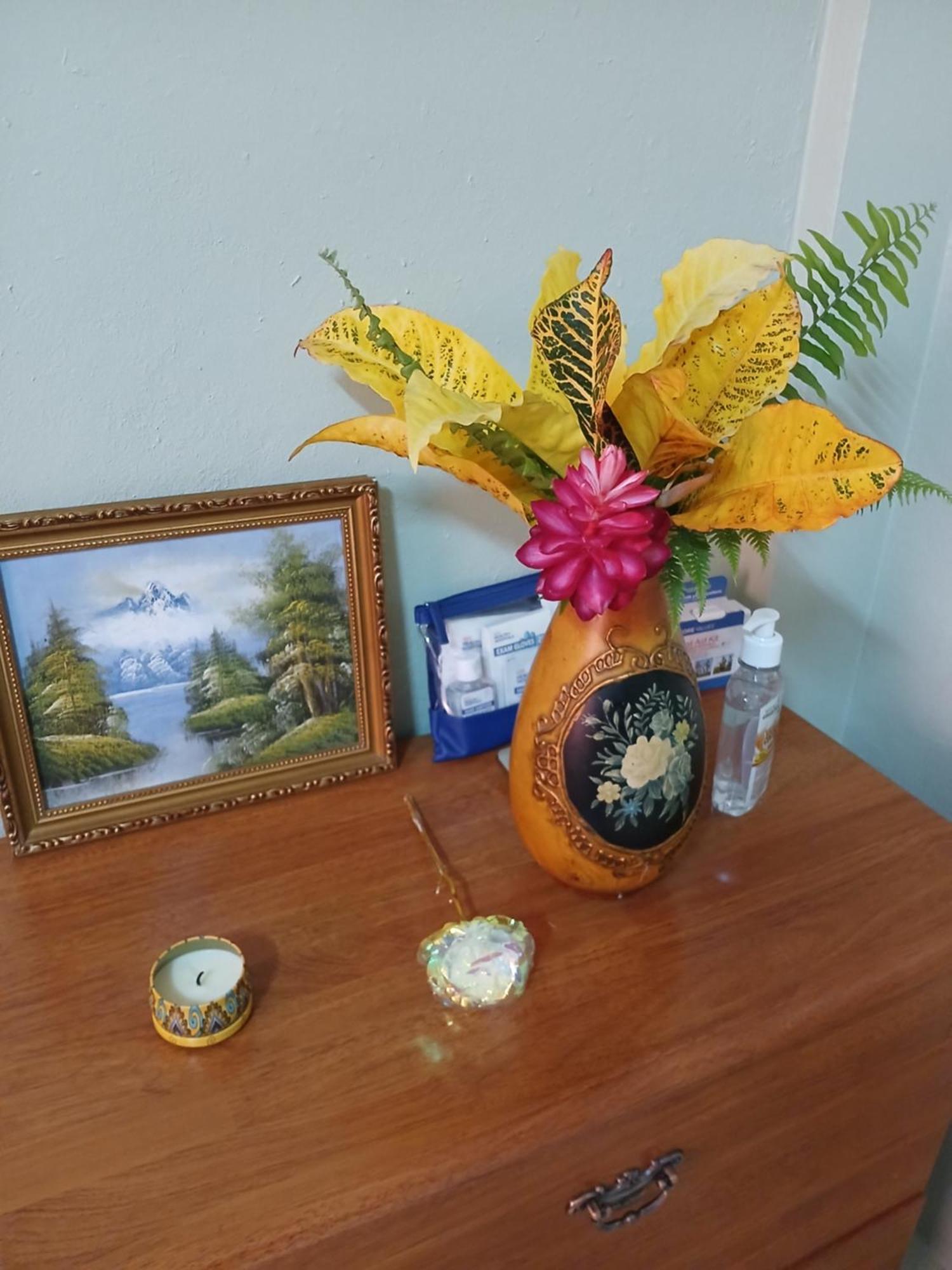 Natrue'S Haven Bed & Breakfast Marigot Екстериор снимка